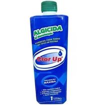 Algicida Manutencão 01 litro CLOR UP Algicida Manutencão 01 litro CLOR UP