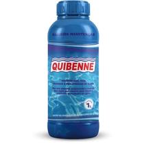 Algicida Manutencao 1l Quibenne