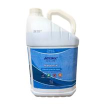 Algicida Manutenção Atcllor 5L Elimina Algas Agua Limpa Algicida Manutenção Atcllor 5L Elimina Algas Agua Limpa