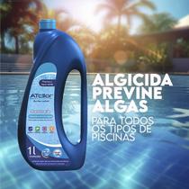 Algicida Manutenção Decantador 1 Litro Elimina Algas Mantem Agua Limpa