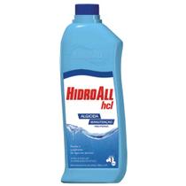 Algicida Manutenção Para Piscinas Hidroall HCL 1 Litro