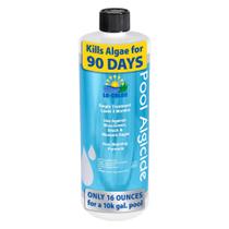 Algicida para Piscina Lo-Chlor 946 ml Tratamento de 90 Dias para 75.700 L Algicida para Piscina Lo-Chlor 946 ml Tratamento de 90 Dias para 75.700 L