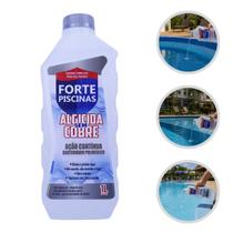 Algicida Sem Cobre 1L Forte Piscinas Previne Elimina Algas Tratamento Água Verde Limpeza Cristalina Algicida Sem Cobre 1L Forte Piscinas Previne Elimina Algas Tratamento Água Verde Limpeza Cristalina