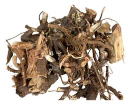 Algodão Raiz 1kg (Erva Desidratada) Algodão Raiz 1kg (Erva Desidratada)