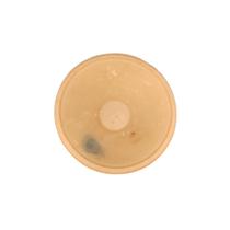 ALGUIDAR DE BARRO SEM VERNIZ Nº00 (21CM) - UNIDADE ALGUIDAR DE BARRO SEM VERNIZ Nº00 (21CM) - UNIDADE