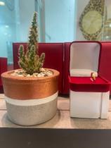 Aliança ouro 18k noivado e casamento 002 750 0,8 2,5mm