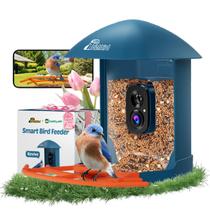 Alimentador inteligente de pássaros com câmera RichBird Deep Blue