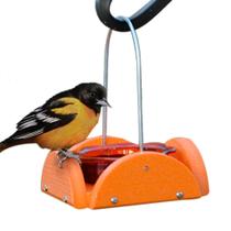 Alimentador Oriole Woodlink Verde Laranja com capacidade de 118 mL Alimentador Oriole Woodlink Verde Laranja com capacidade de 118 mL