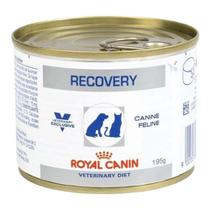 Alimento Úmido Recovery Royal Canin Cães Gatos 195g
