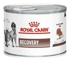 Alimento Úmido Recovery Royal Canin Cães Gatos 195g