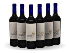Alma Austral Vinho Cabernet Sauvignon