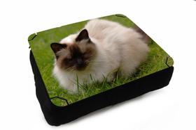 Almofada Bandeja para Notebook Laptop Gatos Cat Felino - Deluzz