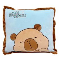 Almofada Capivara Quadrada 35 Cm Capybara - CaaToys - Almofada Capivara Quadrada 35 Cm Capybara - CaaToys -
