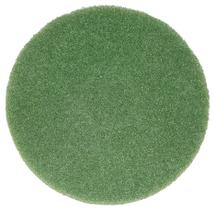 Almofada de limpeza BISSELL BigGreen Commercial 437.056BG para BGEM9000