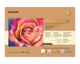 Almofada de papel pastel MUNGYO A4, 30 folhas, 160 g/m2, macio e sortido