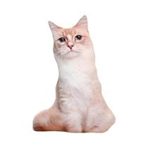 Almofada De Pelúcia Gato Realista, Bichinho De Pelúcia Fofo, Boneca De Gatinho, Almofada De Sofá,