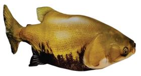 Almofada de tambaqui