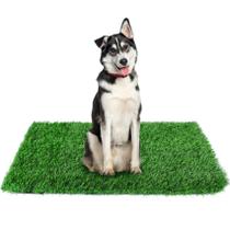 Almofada de xixi de grama artificial GLOBREEN 86x58cm para cães