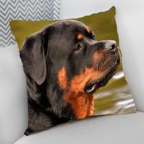 Almofada Decorativa Cheia c/ Zíper 40x40 Dog Pet Cachorro Cão
