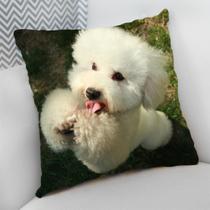 Almofada Decorativa Cheia c/ Zíper 40x40 Dog Pet Cachorro Cão