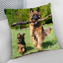Almofada Decorativa Cheia c/ Zíper 40x40 Dog Pet Cachorro Cão Almofada Decorativa Cheia c/ Zíper 40x40 Dog Pet Cachorro Cão