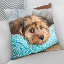 Almofada Decorativa Cheia c/ Zíper 40x40 Dog Pet Cachorro Cão
