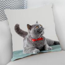 Almofada Decorativa Cheia c/ Zíper 40x40 Gatos Cat Felino