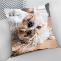 Almofada Decorativa Cheia c/ Zíper 40x40cm, Lhasa Apso Almofada Decorativa Cheia c/ Zíper 40x40cm, Lhasa Apso