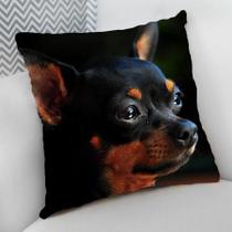 Almofada Decorativa Cheia c/ Zíper 40x40cm, Pinscher