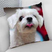 Almofada Decorativa Cheia c/ Zíper Dog Pet Cachorro Cão - Deluzz