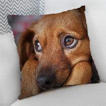 Almofada Decorativa Cheia c/ Zíper Dog Pet Cachorro Cão - Deluzz