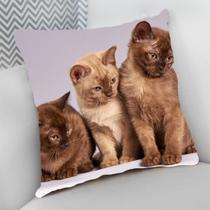 Almofada Decorativa Cheia c/ Zíper Gatos Cat Felino Almofada Decorativa Cheia c/ Zíper Gatos Cat Felino