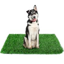 Almofada Higiênica para Cães GLOBREEN - Grama Artificial 34x23cm