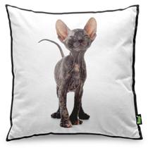 Almofada Love Cats Black Edition - Hairless Sphynx Almofada Love Cats Black Edition - Hairless Sphynx