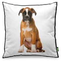 Almofada Love Dogs Black Edition - Boxer Almofada Love Dogs Black Edition - Boxer