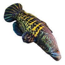 Almofada Peixes Realista Macio Decoração Presente Travesseiro Engraçado Macio 38cm a 120cm