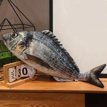 Almofada Peixes Realista Macio Decoração Presente Travesseiro Engraçado Macio 38cm a 120cm