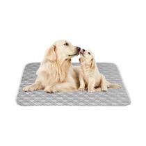 Almofadas De Treinamento Laváveis E Reutilizáveis Para Pets, 2 Unidades, Secagem Rápida, À Prova De Almofadas De Treinamento Laváveis E Reutilizáveis Para Pets, 2 Unidades, Secagem Rápida, À Prova De