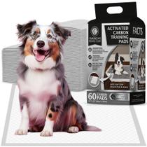 Almofadas de treinamento para filhotes American Kennel Club Charcoal 60 unidades
