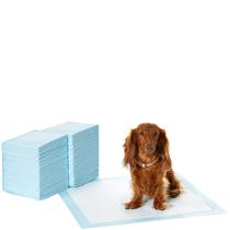 Almofadas de xixi para cachorros Amazon Basics, à prova de vazamentos, 100 unidades