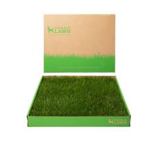 Almofadas de xixi para cachorros DoggieLawn Real Grass 60 x 50 cm para ambientes internos/externos Almofadas de xixi para cachorros DoggieLawn Real Grass 60 x 50 cm para ambientes internos/externos