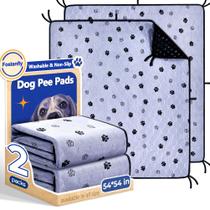 Almofadas Laváveis para Cães Fostanfly - Pacote com 2 (54x54cm) Almofadas Laváveis para Cães Fostanfly - Pacote com 2 (54x54cm)