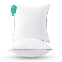 Almohada Euro Sasttie 66x66 cm Oeko-Tex Alternativa al Plumón Paquete de 2 Almohada Euro Sasttie 66x66 cm Oeko-Tex Alternativa al Plumón Paquete de 2