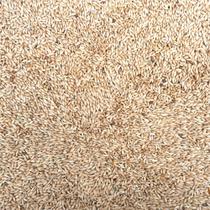 Alpiste á granel - 250gr