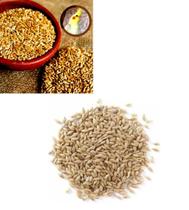 Alpiste Polido Limpo Aves Pássaros Sementes Pacote 1, 3, e 5 Kg Limpa Alimento Alpiste Polido Limpo Aves Pássaros Sementes Pacote 1, 3, e 5 Kg Limpa Alimento