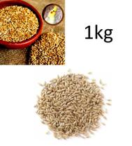 Alpiste Polido Limpo Aves Pássaros Sementes Pacote 1, 3, e 5 Kg Limpa Alimento