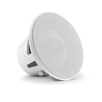 Alto Falante Marinizado 8.8 Pol. JL Audio M6-880X-L-GwGw