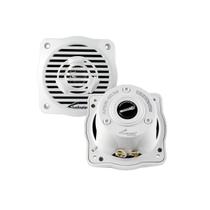 Alto falante Náutico 4p 100w RMS AUDIO PIPE APSW-4032