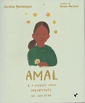 Amal e a viagem mais importante da sua vida - Caixote