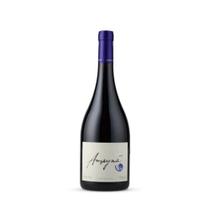 Amayna Pinot Noir 2022 Amayna Pinot Noir 2022